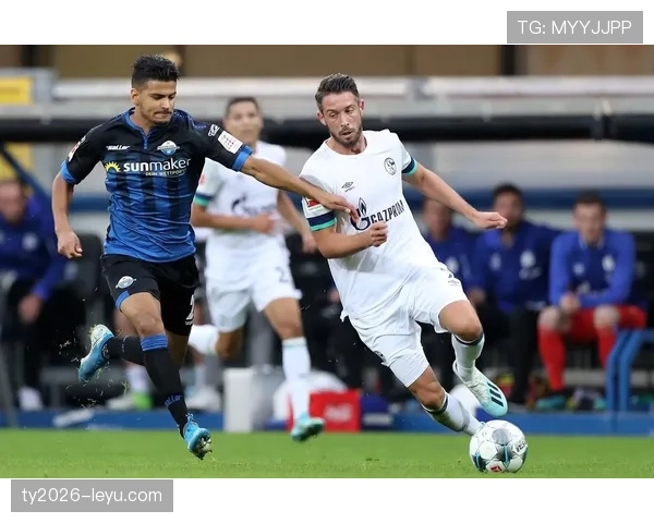 沙尔克新赛季冲击德甲巅峰，重燃球迷期待