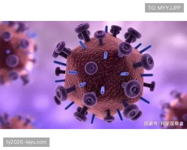 多特蒙德防守反击战术持续进化，近期表现引热议